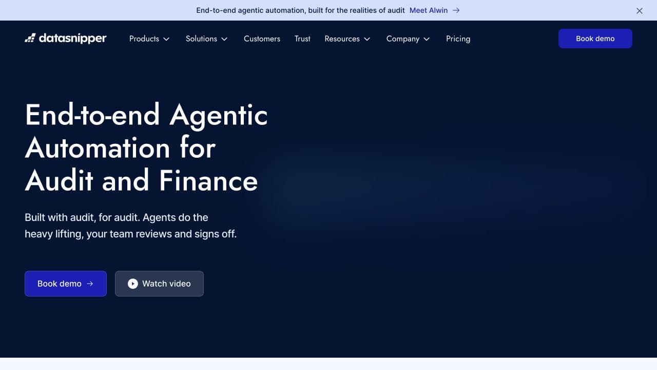 DataSnipper website homepage screenshot